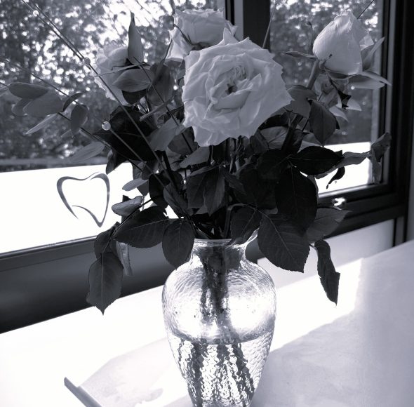 Mulberry Dental Practice Reception B&W